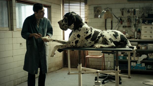 Crítica de «Dogman»: Fábula sobre la fragilidad en bruto