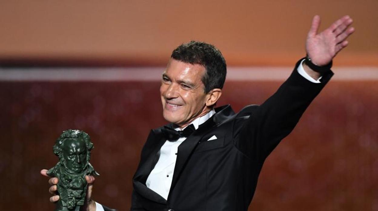 Antonio Banderas, Goya al mejor actor por «Dolor y gloria»