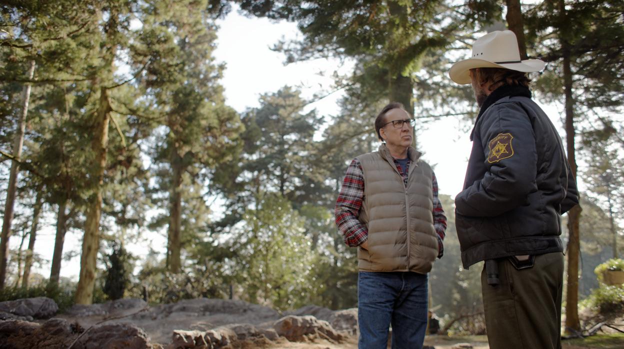 Nicolas Cage en «Color out of space»