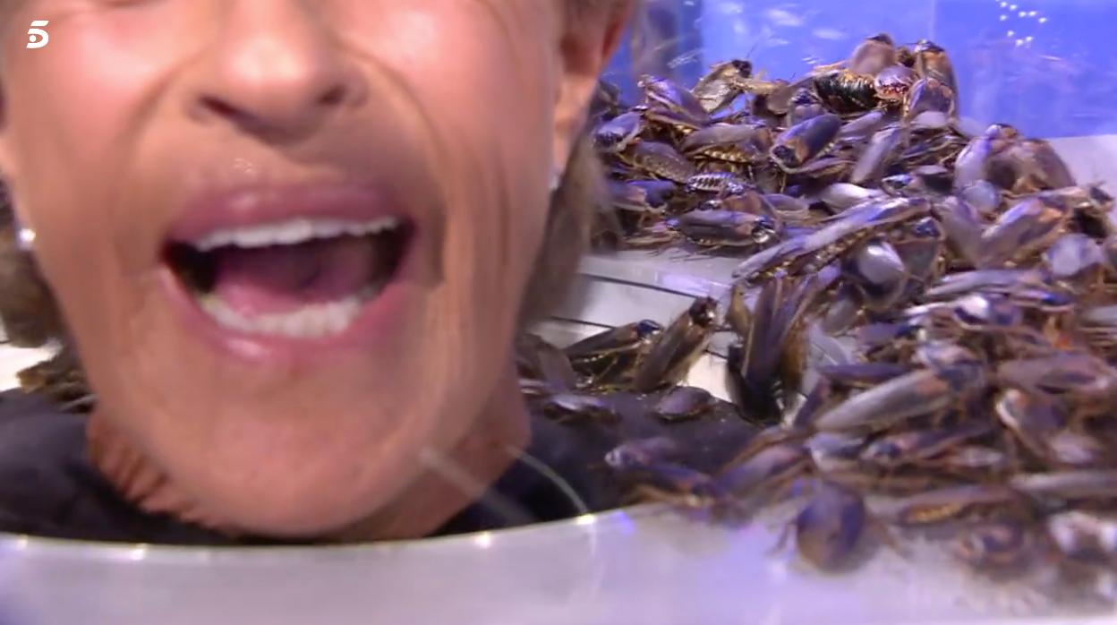 García-Cortes, cantando con la cabeza entre cucarachas