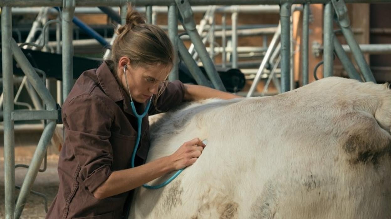 Noémie Schmidt, protagonista de 'Una veterinaria en la Borgoña'
