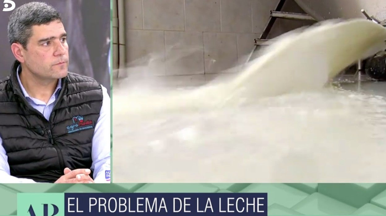 Roberto López, en 'El programa de Ana Rosa'.