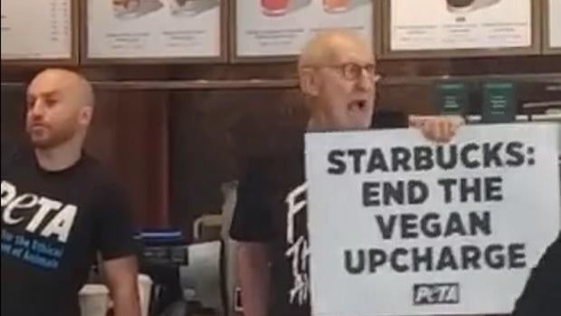 El actor James Cromwell se pega a un mostrador de Starbucks en protesta por el precio de la leche vegana