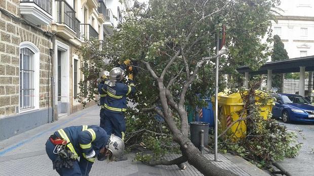 Más de cien incidencias por el temporal de viento en la provincia