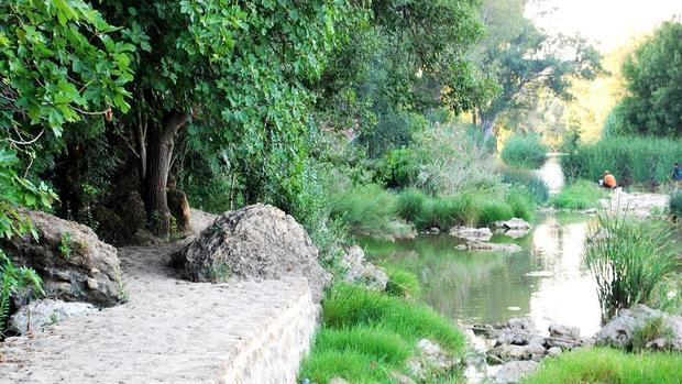 Un órgano específico para gestionar el entorno natural del río Guadaíra