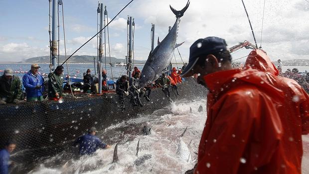 Pescadores de Zahara durante una 'levantá'