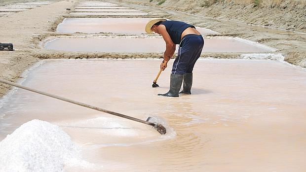 Un total de 20 empresas de la provincia participan en la Feria de las Salinas