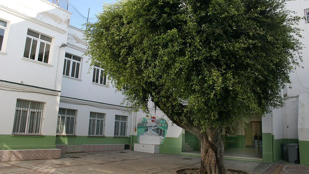 El antiguo colegio Jaime Balmes, más conocido como Arbolí, dispone de en torno a 2.500 metros cuadrados