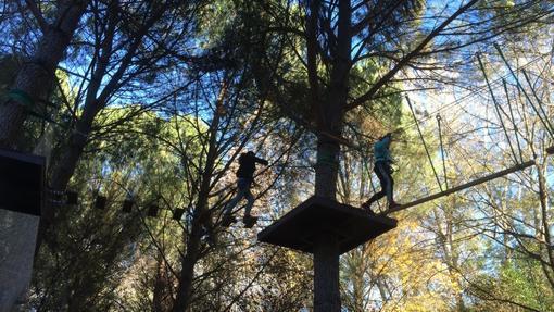 Los monitores del Parque Aventura Sierra Norte en el bosque suspendido