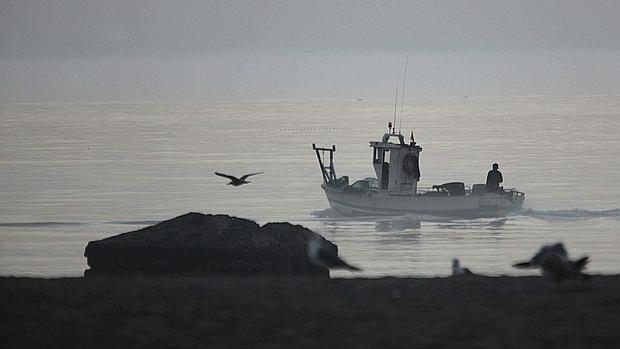 Comienza la dura negociación de las cuotas de pesca en el Atlántico