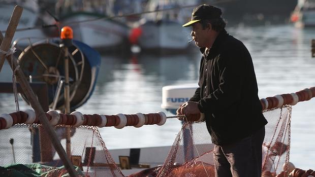 El aumento de cuota del boquerón y la cigala da oxígeno a la flota del Golfo