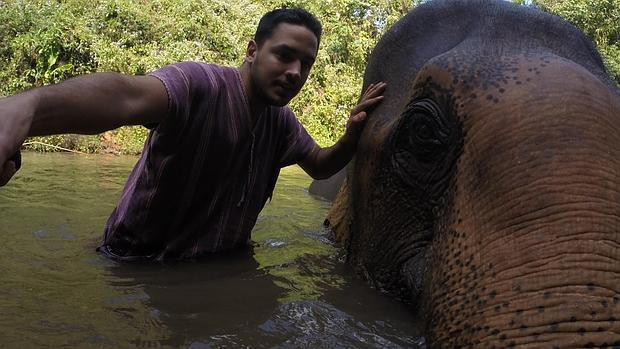 Javier Pina, cetrero de profesión, con un elefante en Chiang Mai (Tailandia)