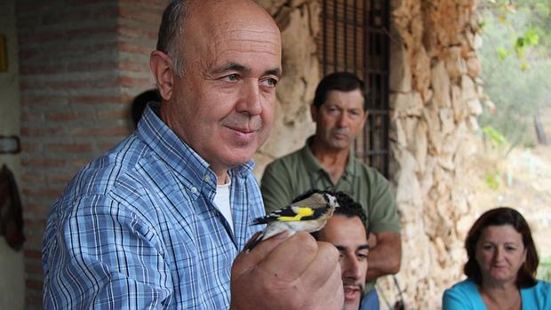 El anillador de la Sierra Sur detecta pájaros que recorren casi 3.000 kilómetros en unos 40 días