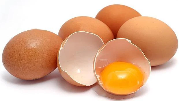 Los huevos no son los únicos portadores de la salmonella
