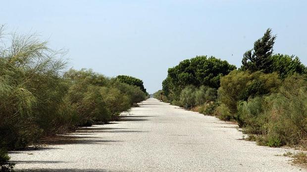 Establecido el dispositivo de búsqueda de una mujer de 70 años desaparecida desde el martes en El Puerto