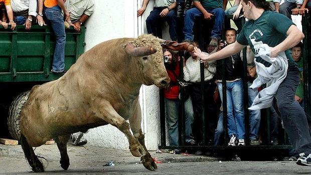 Arcos, Benamahoma, Los Barrios, Paterna y Vejer se preparan para su tradicional toro