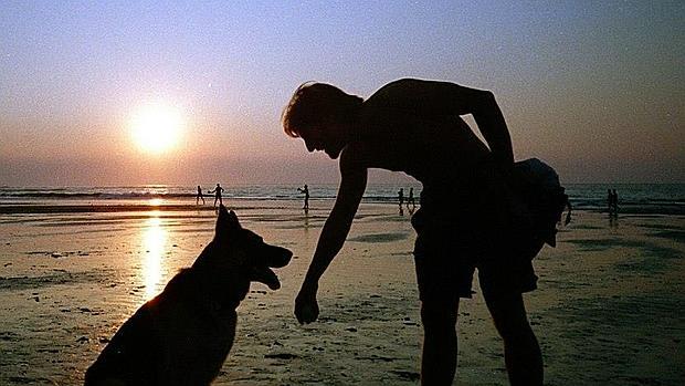 San Fernando tramita una zona para mascotas en la playa de Camposoto