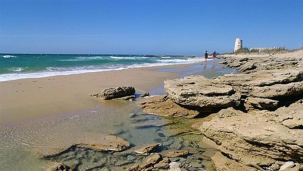 La playa del Palmar inicia la cuenta atrás para su temporada alta