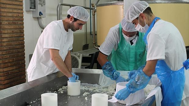 Proceso de elaboración del queso fresco en la fábrica fontaniega