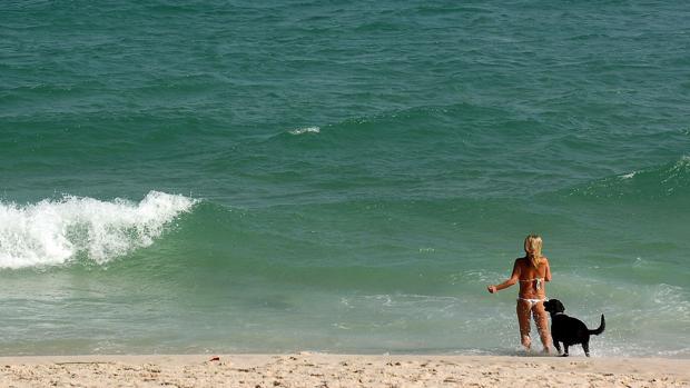 Impugnan la votación de la playa canina para Camposoto