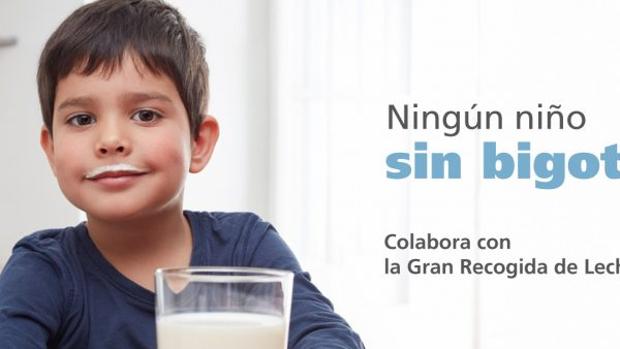 La Caixa recoge casi 17.200 litros de leche en favor del Banco de Alimentos de Cádiz