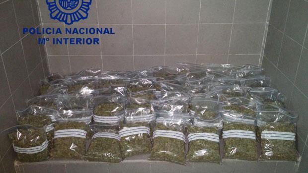 Las hojas de marihuana se encontraban distribuidas en pequeñas bolsas para su venta