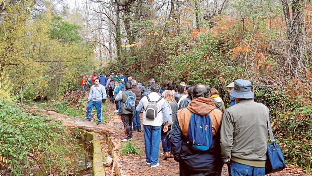 El grupo senderista de Peñaflor haciendo el sendero de Galaroza