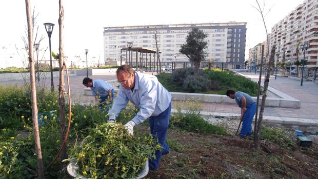 Se harán labores de mantenimiento y limpieza de jardines.