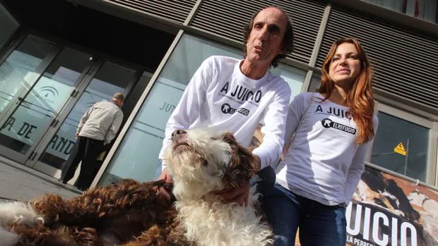 El veterinario de la perrera de Puerto Real admite que usó Mioflex en los sacrificios