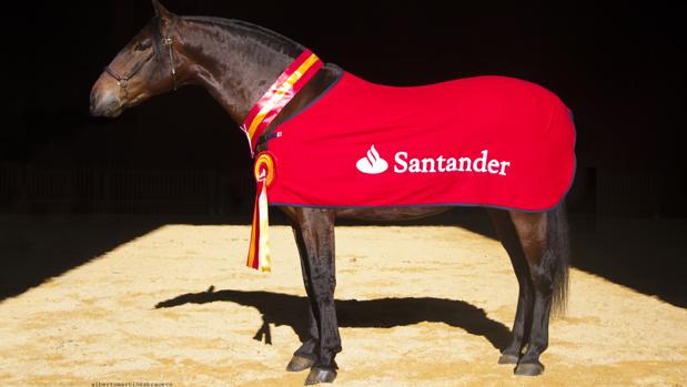 La yegua Panadera LVIII, reciente campeona absoluta del mundo en la modalidad morfofuncional