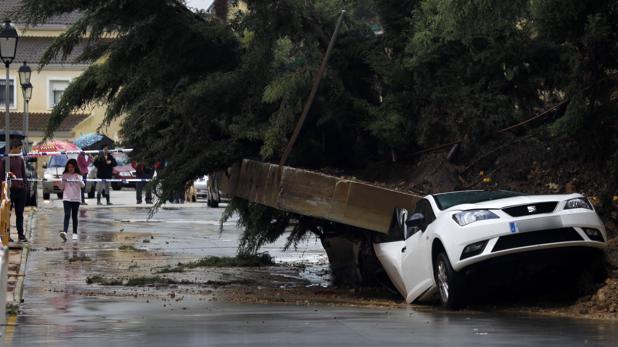 La Junta destina ayudas de 700.000 euros a Cádiz por los daños del temporal