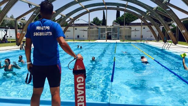 El detenido trabajaba como monitor en la piscina municipal de Salteras