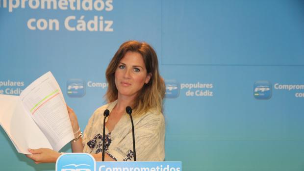 Mestre atribuye al «rodillo del Gobierno de Susana Díaz» la falta de inversiones en la provincia