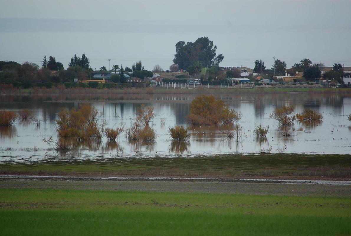 Declaran Zonas Especiales Conservación 13 lagunas de Cádiz, Málaga y Sevilla