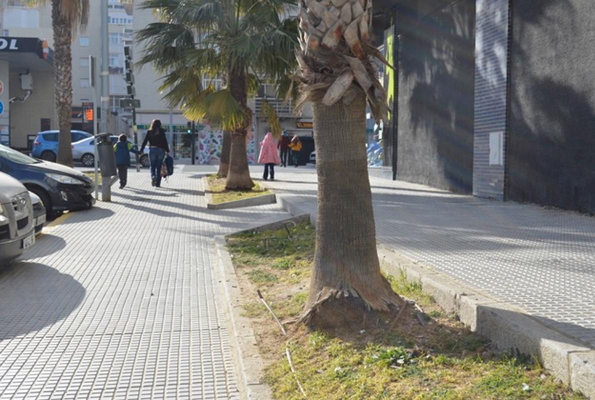 Los parterres de la calle Retama, junto al pabellón deportivo Ciudad de Cádiz, son pasto de excrementos caninos