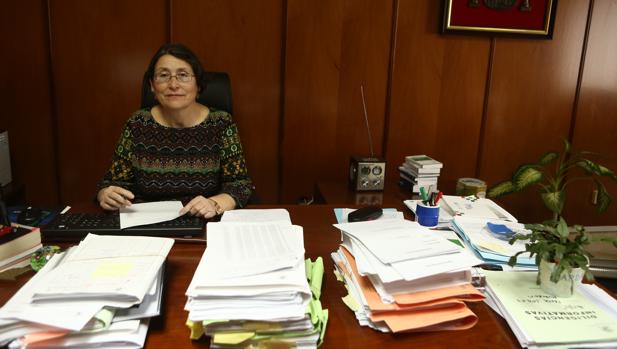 «Es muy preocupante que en pocos años se haya condenado a tantos alcaldes»