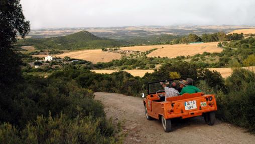 La ruta discurrirá por caminos rurales bordeando el bajo del Guadalquivir