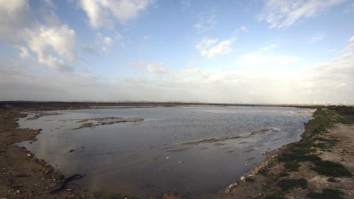 El Supremo vuelve a tumbar la reserva de suelo para el polígono Las Aletas