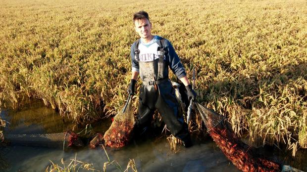 Agentes de Medio Ambiente precintan unas 600 redes de pescadores de cangrejo rojo de Los Palacios y Las Cabezas