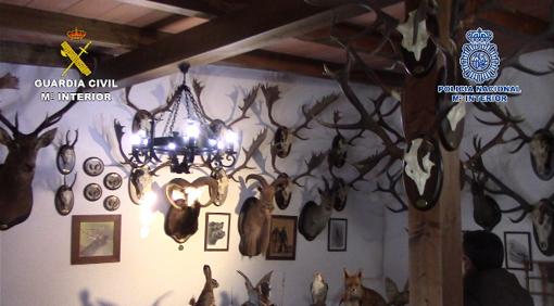 Las paredes de la bodega del chalé, llenas de trofeos logrados por 'El Canela'.