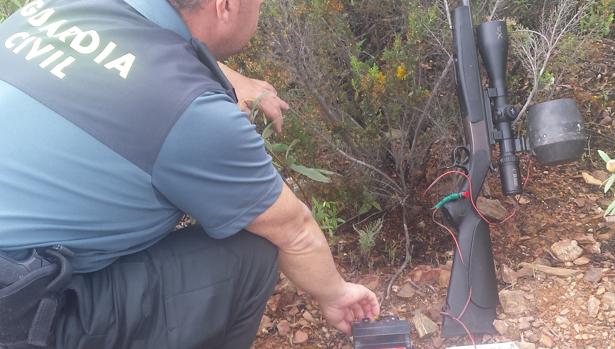 Detenidos dos vecinos de Aznalcóllar por caza furtiva y tenencia ilícita de armas