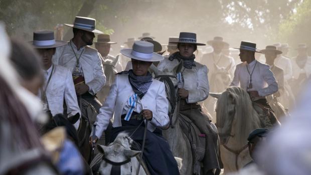 Hasta nueve caballos han muerto en el Rocío y aún no ha terminado.