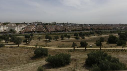 Parte de la amplia extensión del nuevo parque Olivar de Zaudín de Tomares