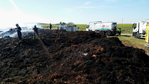 Los bomberos actúan en la parcela afectada en El Puerto