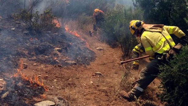 El incendio de El Madroño calcina unas 13 hectáreas según una estimación inicial