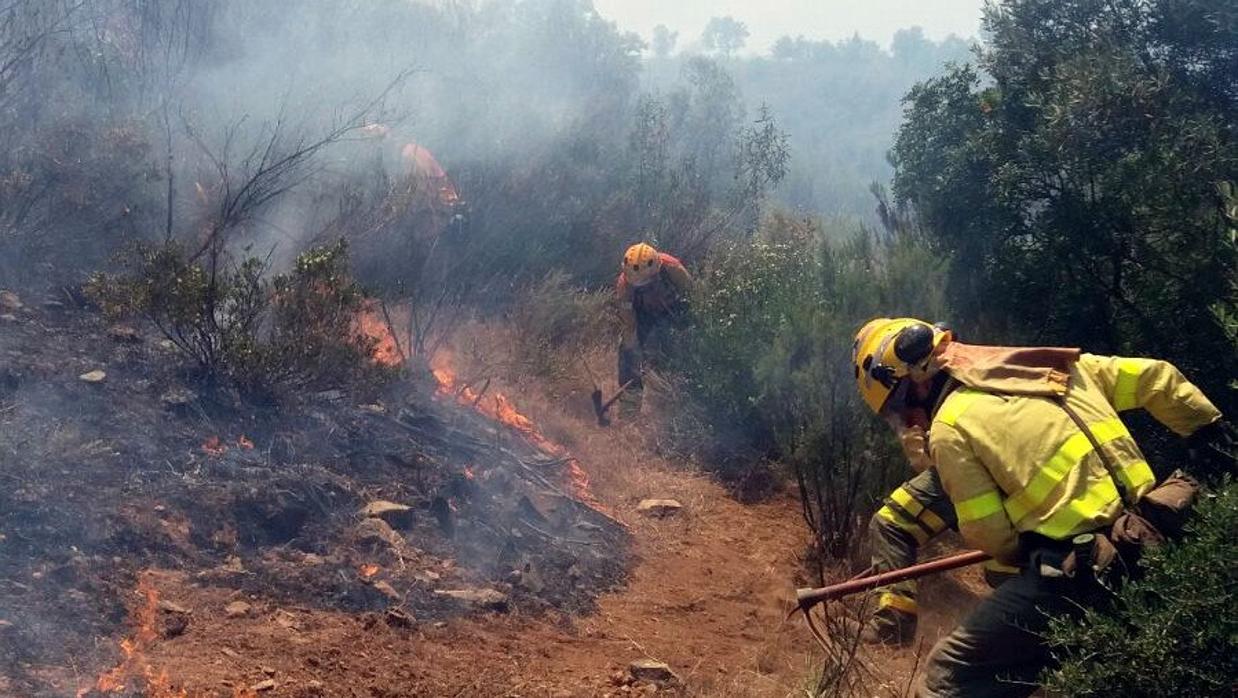 El incendio de El Madroño calcina unas 13 hectáreas según una estimación inicial