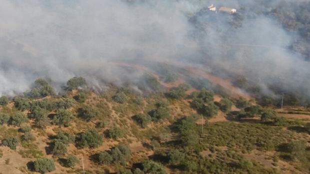 Estabilizado el incendio forestal en un paraje entre Gerena y El Garrobo