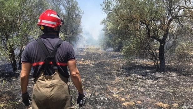 Este lunes se han declarado varios incendios en el Aljarafe sevillano