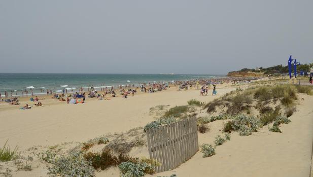 La playa de La Barrosa luce bandera azul desde hace muchos años