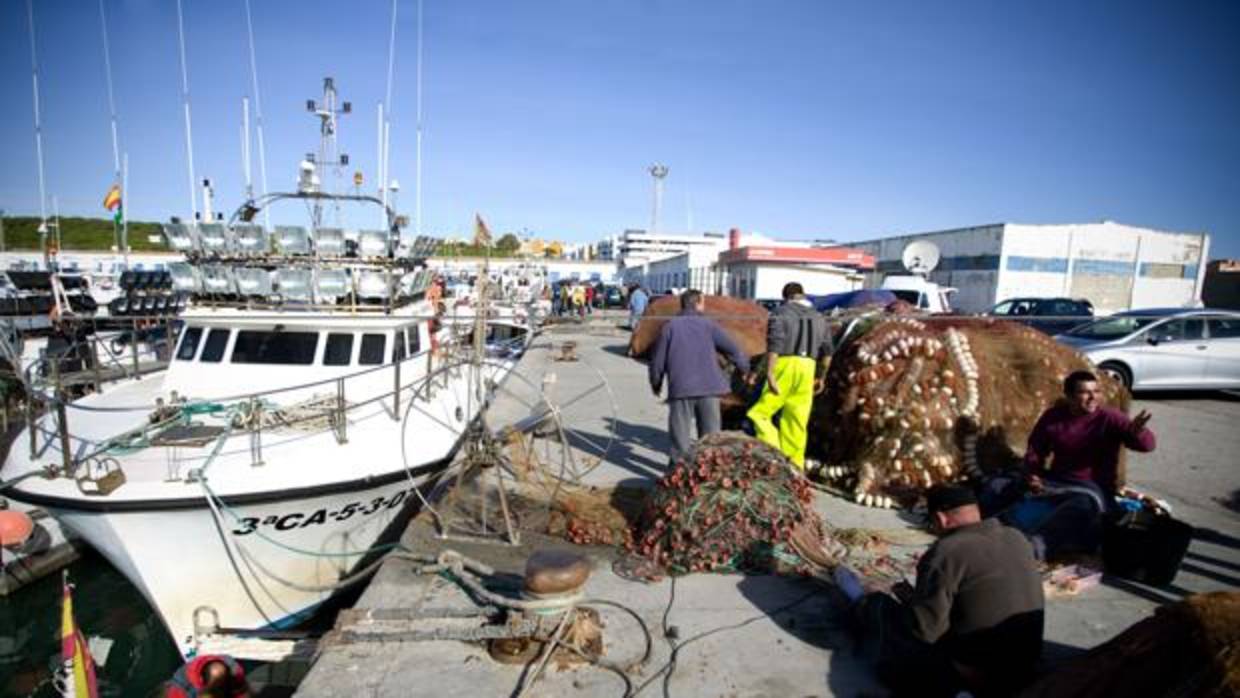 Los pescadores de la provincia de Cádiz